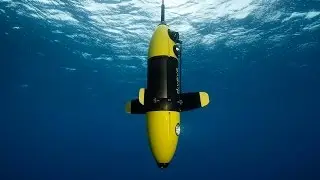 Diveye