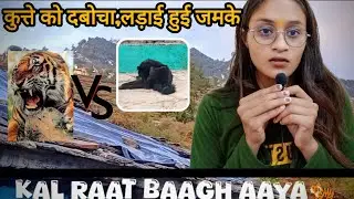 चटक धूप से पिघली बर्फ और निखरे पहाड़☺️🪻