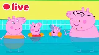 🔴 Peppa Pig EN VIVO! 🐷 Episodios Completos ✨ Caricaturas para Ni&ntilde;os | Peppa Pig Espa&ntilde;ol Latino