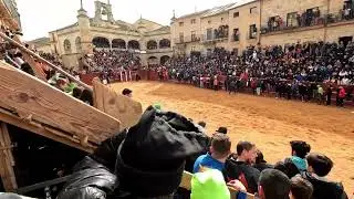 Lunes del carnaval del toro 2023 Encierro y capea