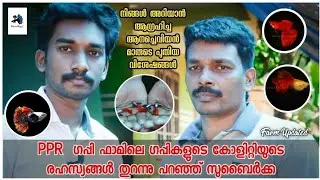 PPR Guppy Farm Malappuram|Makkarapparamba|PPR Guppy Qulity Secret|Aquaprince|RenjithTK|