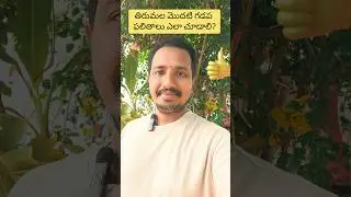 #tirumala How to Check Seva Electronic Dip Results Step by step process