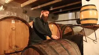Explore with Grape Collective