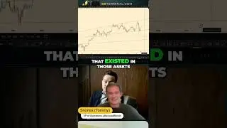 Altcoins Resilience - Why They're Outperforming Bitcoin