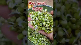 How to make Moong Sprouts At Home | How to grow sprouts at home #shorts #moong #mungbeans