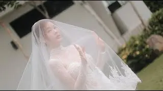 Calvin & Samantha Express Highlights // Directed by Founding Director Yang