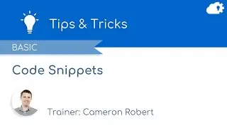 Code Snippets in Salesforce Marketing Cloud