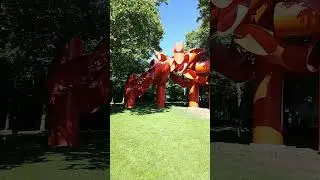 Seattle Center#shortsn
