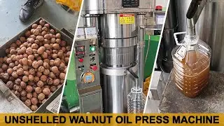 Cold Pressed Walnut Oil Making Machine|Oil Cold Press Machine|Unshelled Walnut Oil Press Machine