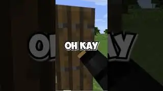 Minecraft but what is behind these doors?
