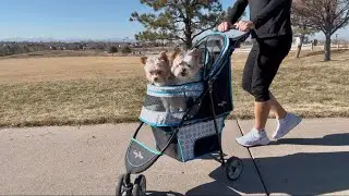 Gen7Pets Foldable Pet Stroller