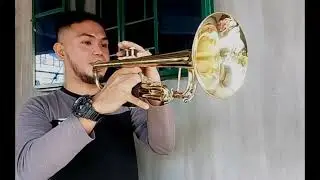 Always Remember Us This Way - Lady Gaga (Trumpet) Cover 🎺