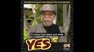 Vote YES   Referendum 2023 We Need Equal Opportunity.
