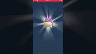 Purify Nidoran For Shiny Pink Spheal Will it turn lucky