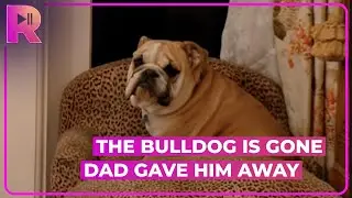 Dad Gives Away Family Dog After Brutal Fight | The Osbournes