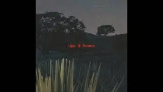 Ups & Downs - Nasir Shah (Official Audio)