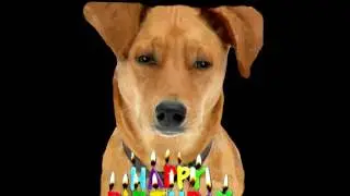 Happy Birthday, Trisha!