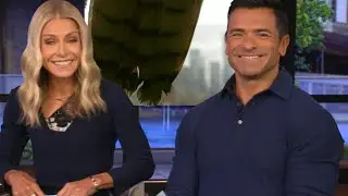 Kelly Ripa and Mark Consuelos' Live Show HIJACKED by a Hawk!