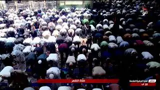 بث مباشر كربلاء