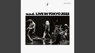 Sunflower - Live 2022