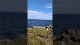 Parc national du Bic.  Le Grand tour. #beach #hikingandcamping #nature