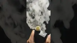 lunatic coil fused clapton twisted messes ni80