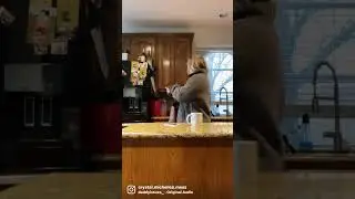 Silver sisters vs hunger: a snowball fight  #fok