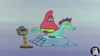 Lofi Why Did You Crash