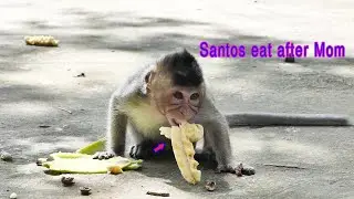 Pathetic...Poor baby Santos can eat if Mom Sarah doesn't want to eat more and throws it away.