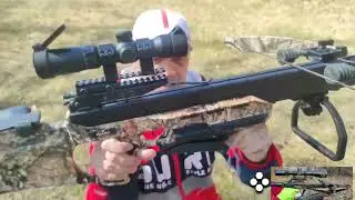 Excalibur Bulldog 440, Centerpoint Sniper Elite 370 and Cold Steel 240.Speed Test.