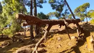 An Amazing Road Trip With a Soft Romantic Song|| #viralvideo #travel #trendingsong