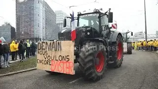 Farmers protest outside European Parliament against EU-Mercosur trade deal