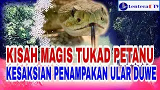 Kesaksian Kesakralan Tukad Petanu Ubud