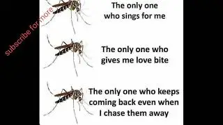 Funny memes #memes #memesvideo #memesstatus #memesreaction #memesvideostatus #memesworld #memes18