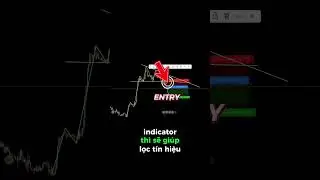Sự Thật Indicator vs Price Action: Kh&ocirc;ng C&oacute; Phương Ph&aacute;p Ho&agrave;n Hảo, Chỉ C&oacute; 