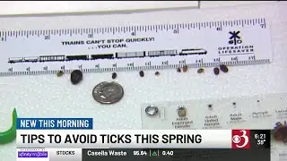 Tick season precautions from the Vermont Health Department