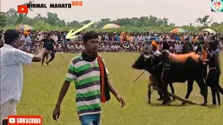 (সালডি) ২ নম্বর কাড়া লড়াই ৫১০০০ হাজার টাকার লড়াই দেখুন!! Shaldih Kara Lorai Video Purulia