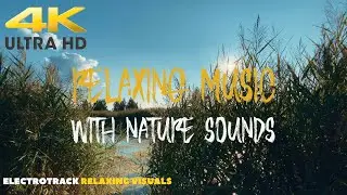 4K Relaxing Music with Nature Sounds, Background Music, Yoga Music, Meditation Music