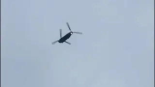 Chinook blade slap