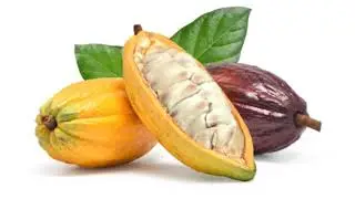 Enhanced Keto