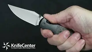 Kizer Cutlery Azo Tycho Clutch Lock Folding Knife