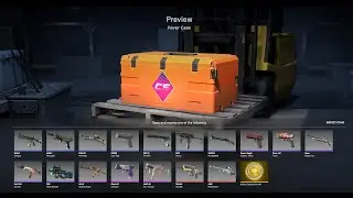 Opening a CS2 cases Day#365