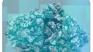 Inorganic Poisons - II (Metallic Poisons)