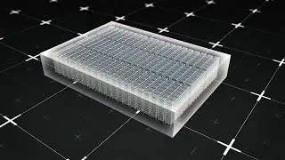 Giant vertical indoor hydroponic farm to start production