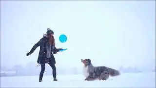 Dog Training Perth Northern Suburbs