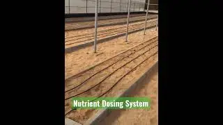 Nutrient Dosing System #greenhouse #hydroponics #البيوت #farming #organic #dubai #uae #abudhabi #