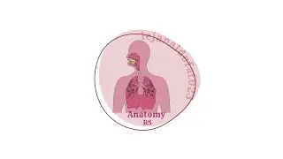 Embryology lecture 1