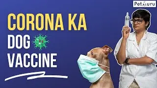 Do dogs need CORONA COVID VACCINE?