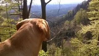 Pravčick&aacute; Br&aacute;na with the dog