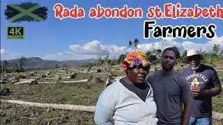Rada gets failing grade from st.elizab  farmers  after melissa #jamaica #melissa #farmers #flooding 